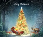 Merry Christmas, ქრისტეშობის, მისალოცი, ფლეში