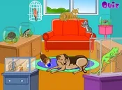 ცხოველების, სახლი, animals, house