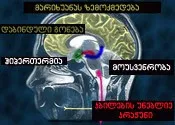 მარიხუანა, მარიხუანას მოხმარების სიპტომები, უარყოფითი ასპექტები