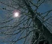 სევდა, ზღვა, არის, გოდერძი, ჩოხელი