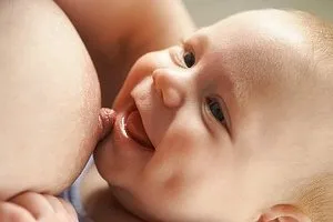 ძუძუთი სწორად კვება